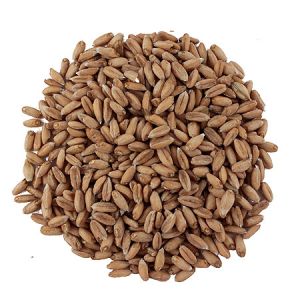 Słód orkiszowy (Spelt Malt) Weyermann® (Niemcy) 0,5kg