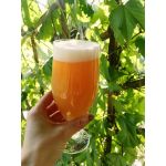 Piwo Milkshake Mango IPA 13,7° Blg - Zestaw surowców z ekstraktów 20l